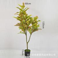 uploads/erp/collection/images/Home Garden/dgjiawang/XU0612638/img_b/XU0612638_img_b_2